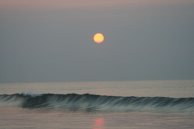IMG_8407.JPG