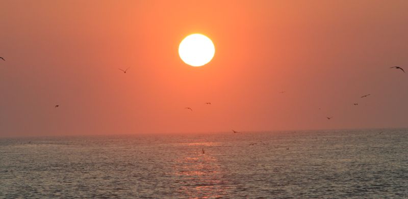 IMG_8244.JPG
