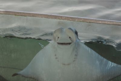 Tarpon Springs Aquarium