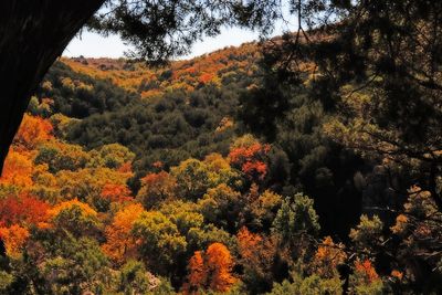 turner_falls