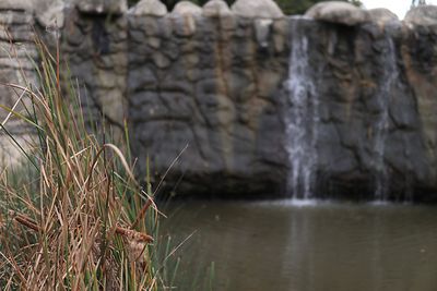 dp14.jpg