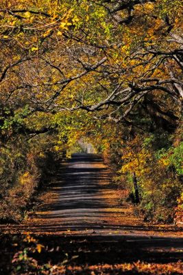 fall_sam_farm