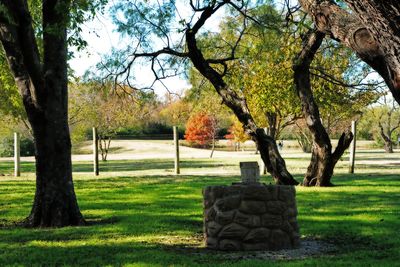 fall_sam_farm