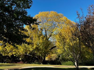 fall_iphone_