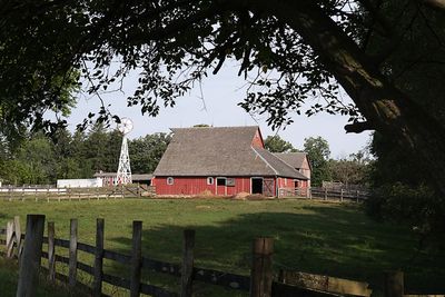 farm8.jpg