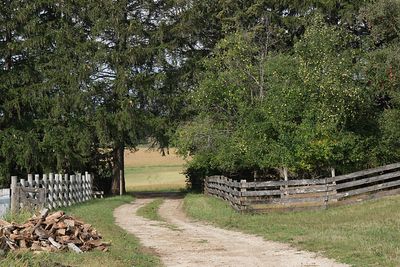 farm13.jpg