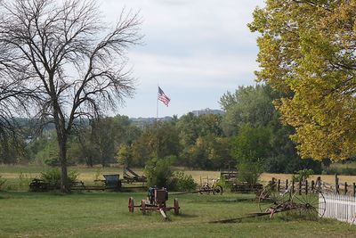 farm15.jpg