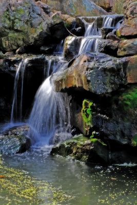 dallas_arboretum_325