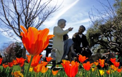 dallas_arboretum_325