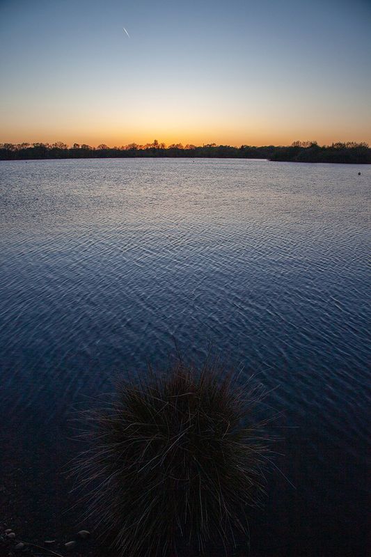 EveningWalk22.jpg