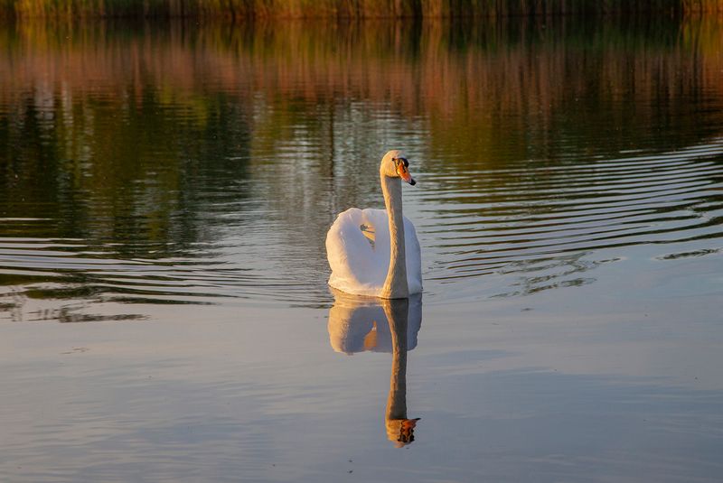 SundayEveningWalk41.jpg