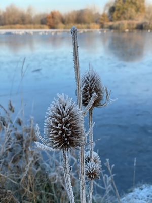 37A1ED48-A71C-43E4-B612-93C0B0029E3A.jpeg