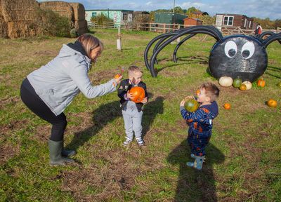 PumpkinPicking024.jpg