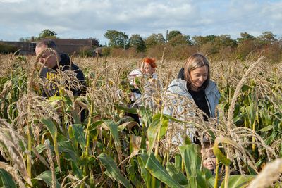 PumpkinPicking053.jpg