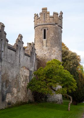 Dublin067.jpg