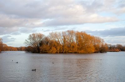 BlowingAwayTheCobwebs19.jpg