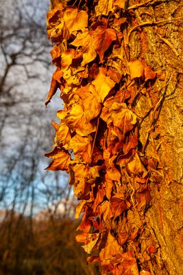 BlowingAwayTheCobwebs26.jpg