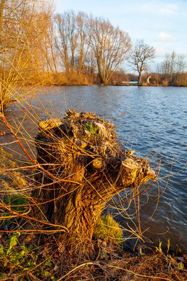 BlowingAwayTheCobwebs27.jpg