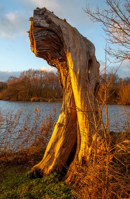 BlowingAwayTheCobwebs29.jpg