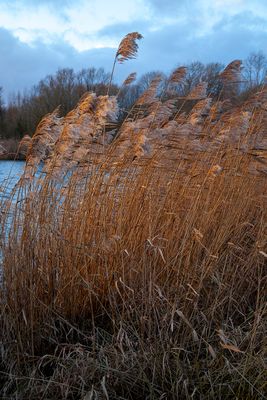 BlowingAwayTheCobwebs31.jpg