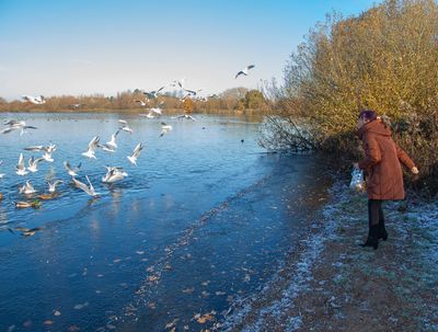 FrostyWalks46.jpg