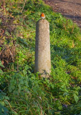 FrostyWalks87.jpg