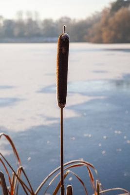 HardFrost17.jpg