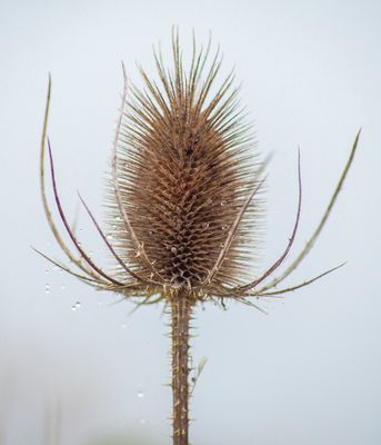 NewLense04.jpg