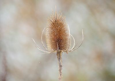 NewLense05.jpg