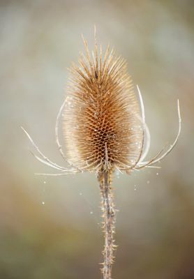 NewLense06.jpg