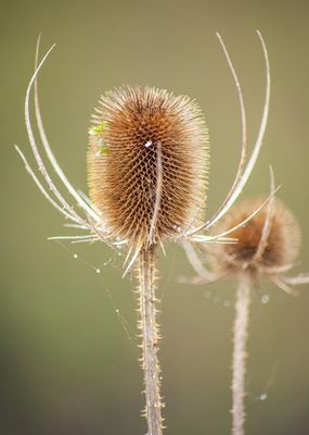 NewLense09.jpg