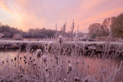 SunriseSunday04.jpg