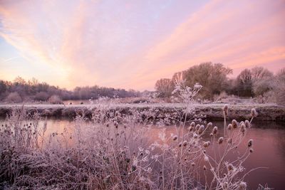 SunriseSunday05.jpg