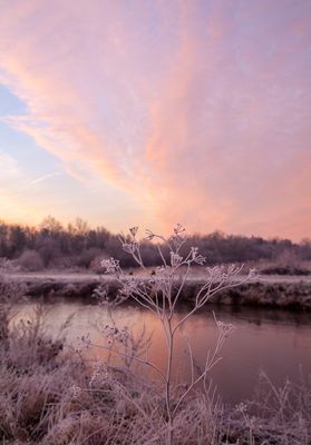 SunriseSunday06.jpg