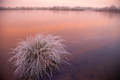 SunriseSunday10.jpg