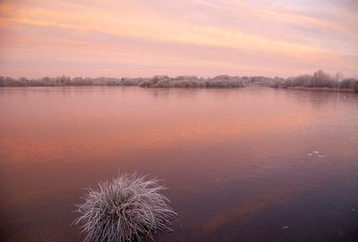 SunriseSunday11.jpg