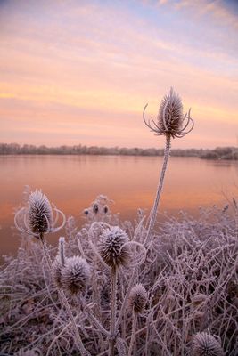 SunriseSunday12.jpg