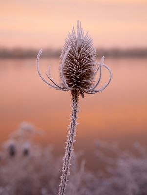 SunriseSunday13.jpg