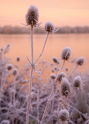 SunriseSunday16.jpg