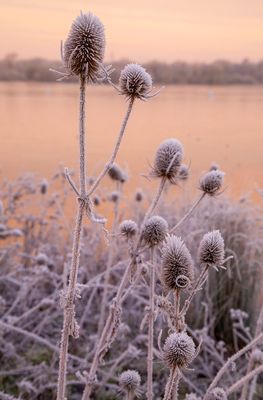 SunriseSunday16a.jpg