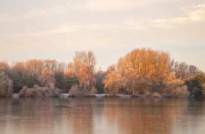 SunriseSunday26.jpg