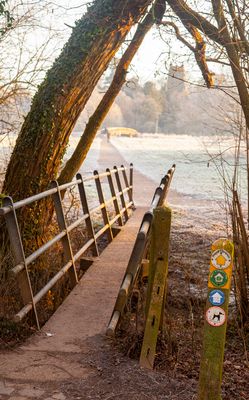 SunriseSunday33.jpg