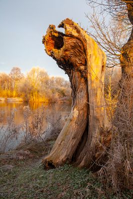 SunriseSunday34.jpg
