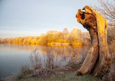 SunriseSunday35.jpg
