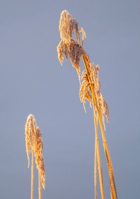 SunriseSunday37.jpg