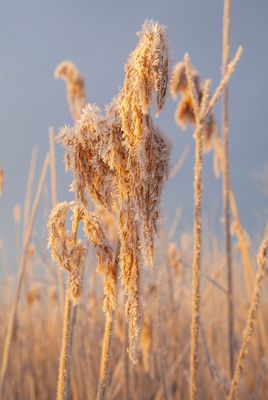 SunriseSunday38.jpg