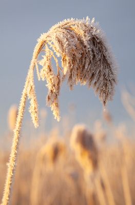 SunriseSunday40.jpg