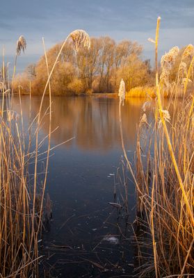 SunriseSunday43.jpg