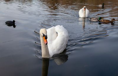 FeedingTime42.jpg