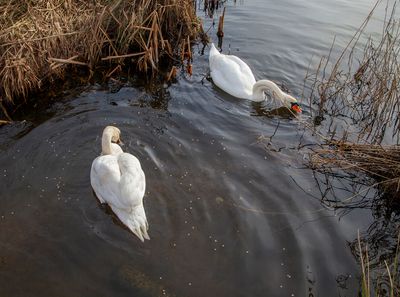 HavanaWalk10.jpg